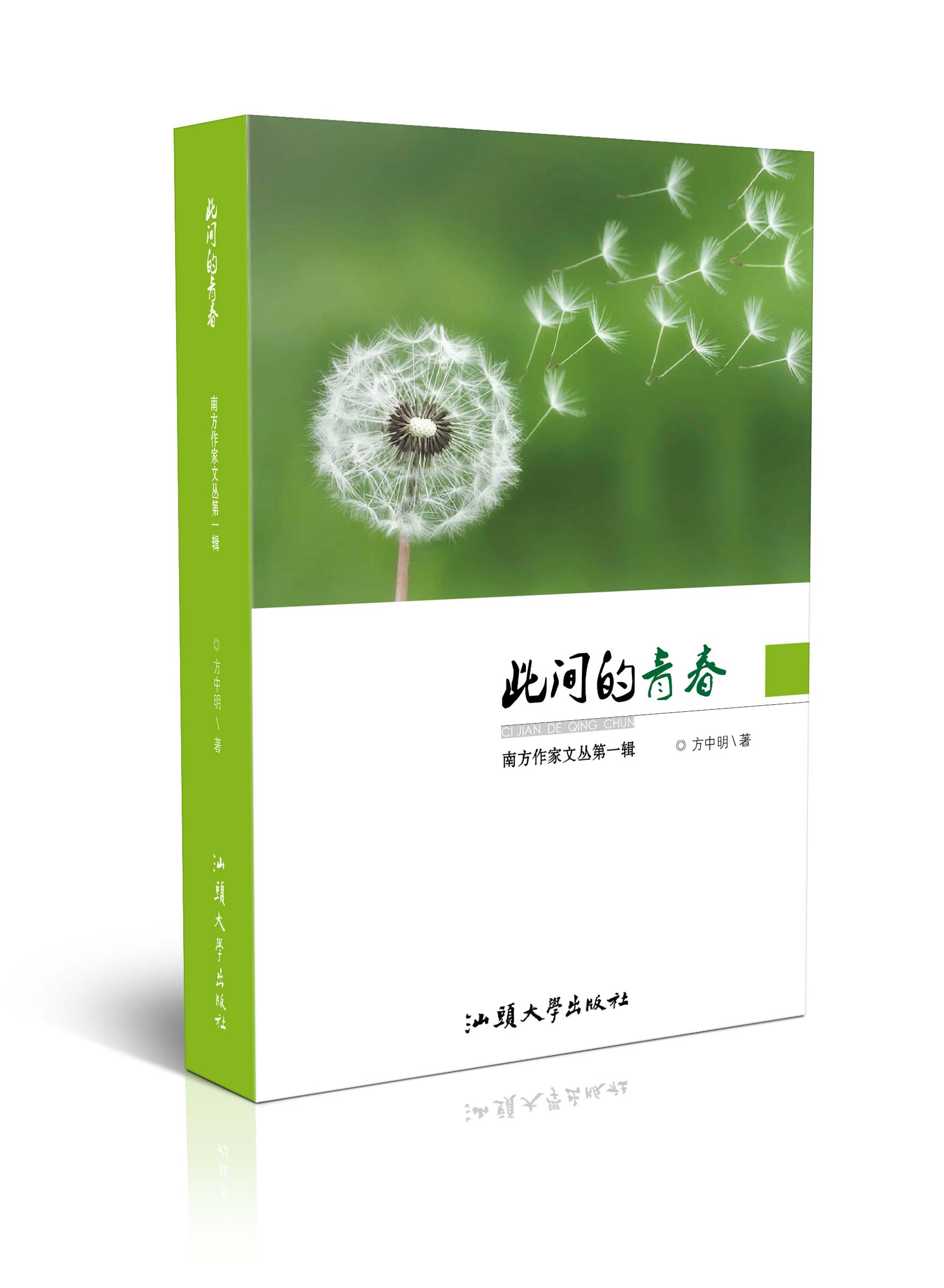此间的青春